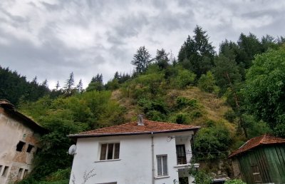 Мечка с малко мече е нападнала мъж от девинското село Лясково