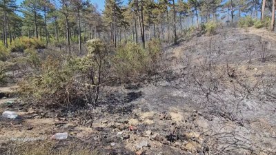Игра с огън е вероятната причина за пожара в Сливен
