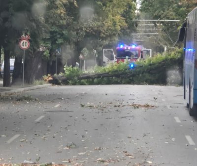 Wind with Gusts Up To 86 km/h Hit Ruse, Damage reported