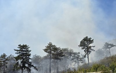 Детска игра с огън е причината за големия пожар край Сливен