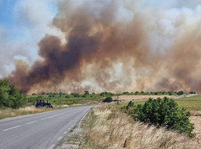 Пожар край пътен възел "Петолъчката"