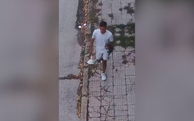 Брутално убийство на котка в Севлиево