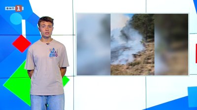 Пожар в Рила