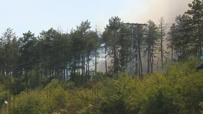 Гора пламна във варненския квартал “Аспарухово”