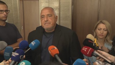 Борисов: Искам да си протестирам, така да си се разхождам