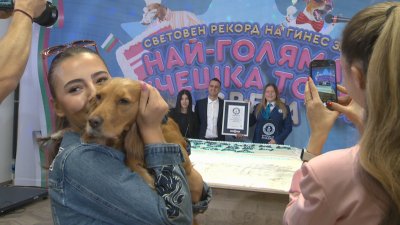 Рекорд на Гинес: Най-голямата кучешка торта в света е направена в България