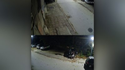 Ново ТикТок предизвикателство? Младежи потрошиха автомобил и застанаха за снимка с него