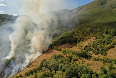 Пожар гори край землището на асеновградското село Горнослав (СНИМКИ и ВИДЕО)