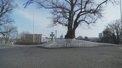 Естония иска задействане на член 4 на НАТО заради руските изтребители