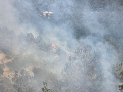 The Damages from the Fire in Pirin Exceeds BGN 16 Million