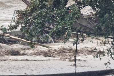Местната власт в Бургас търси съдействие от ВМС за овладяване на ситуацията