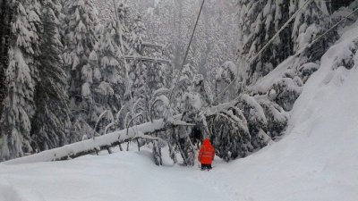Берковица и селата в общината останаха без ток