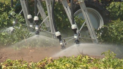 EU Has Increased Exports of Pesticides Banned for Use Within Its Own Territory