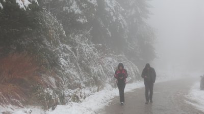 The Road to Vitosha Mountain Reopened to Traffic