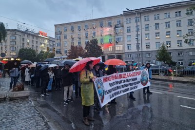 "Стига лъжи" - младите лекари отново излязоха на протест