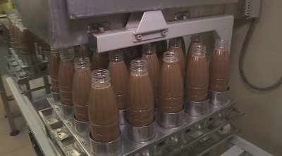 Ден на бозата: вкус, ретро коли и много музика в Радомир