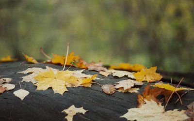 Студено утро, но слънчев понеделник – времето се затопля през седмицата