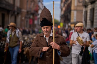 Овце и кози превзеха улиците на Мадрид