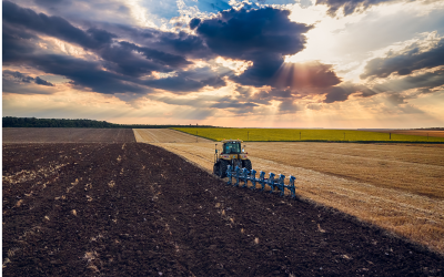 Bulgarian Grain Producers in Protest Readiness, Demand Meeting with PM