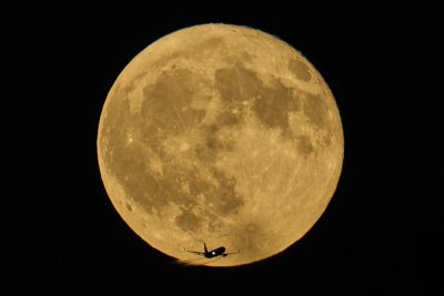 Direct Flights to the United States: Bulgarian Airline to Launch Regular Services to New York and Chicago from April 2026