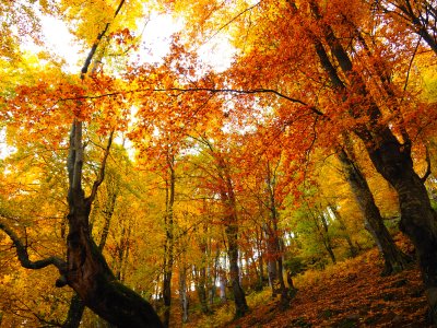 Много слънце и по-високи температури през следващите дни