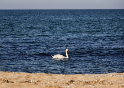 МОСВ отмени решението на РИОСВ-Бургас и поиска нова преценка за екооценка на “Алепу”