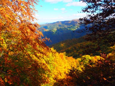Слънчев четвъртък със сутрешни мъгли