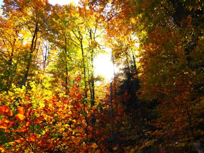 Plenty of Sunshine Expected for the Next Few Days