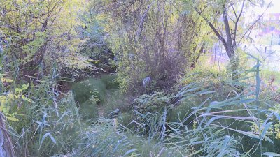 Inspections Underway on Riverbeds and Gullies in Varna Region Amid Flood-Risk Concerns