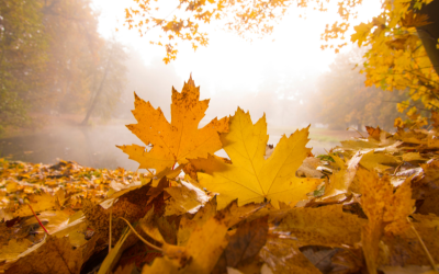 Colder Weather on the Way – When Will It Arrive?