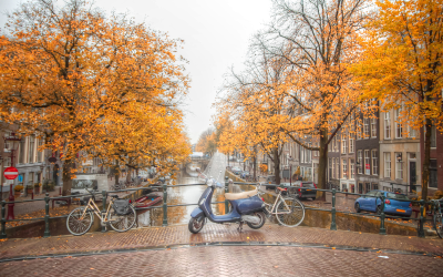 При 95% обработени изборни протоколи в Нидерландия: Кой ще спечели доверието?