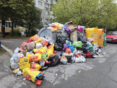 After a Month and a Half - Rubbish Crisis in Two Sofia Districts Now Under Control, Says City Council Deputy Chair