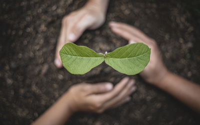 Неравна ли е борбата с климатичните промени по време на войни и спорове за мита?