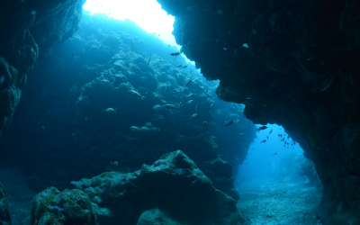 Подводен парк в Маями съчетава изкуството и кораловите рифове