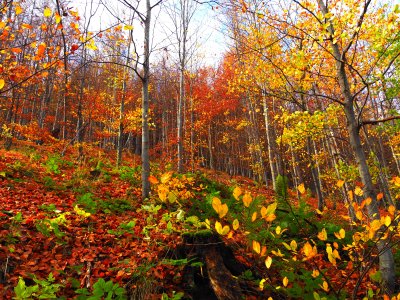 Предимно слънчево време в неделя, на места със сутрешни мъгли