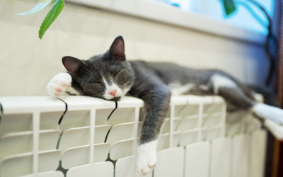 Пускат поетапно парното в София