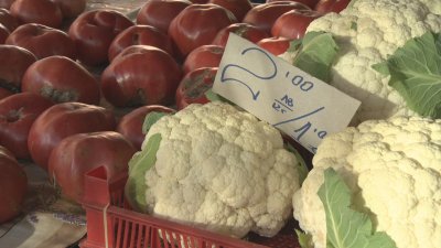 Подготовка за еврото: Банките вече снабдяват търговците с новата валута