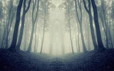 Мъгли, но слънчево време в четвъртък - кога ни очакват 20°