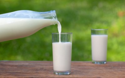 Новите сутрешни навици на младите: как матча и растителните млека изместват кафе и прясно мляко