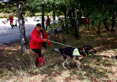 Планински спасители издирват млада жена в района на кв. "Бояна" и Витоша