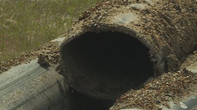 Аварии без край - пак замърсяване с отпадъчни води във Варненското езеро