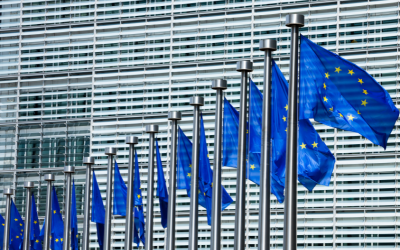 The European Parliament’s Democracy Monitoring Group Has Invited Georgi Georgiev, Marian Bachev, and Anton Slavchev for a Hearing