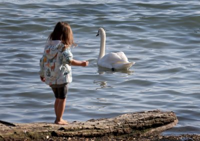 Слънчево есенно време ни очаква през следващите дни