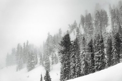 Петима чуждестранни туристи загинаха по време на снежна буря в Чили