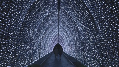 Феерия от светлини: Грейна коледната пътека на Кралската ботаническа градина в Лондон