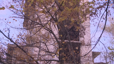 След опасното селфи в София: Какви мерки предприемат институциите?