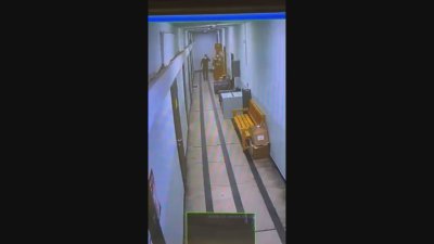 Обраха ансамбъл "Чинари: Крадецът е задигнал архив от звукозаписното студио