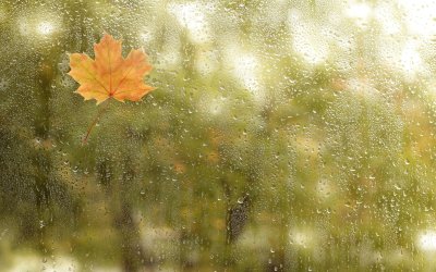 Дъждът продължава и в сряда: Опасност от локални наводнения