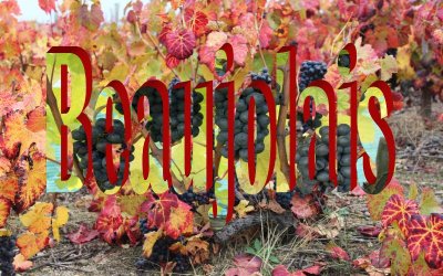 Добре дошло, Божоле нуво!