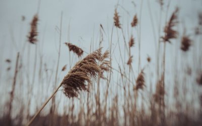 Предупреждение за ураганен вятър в Царево